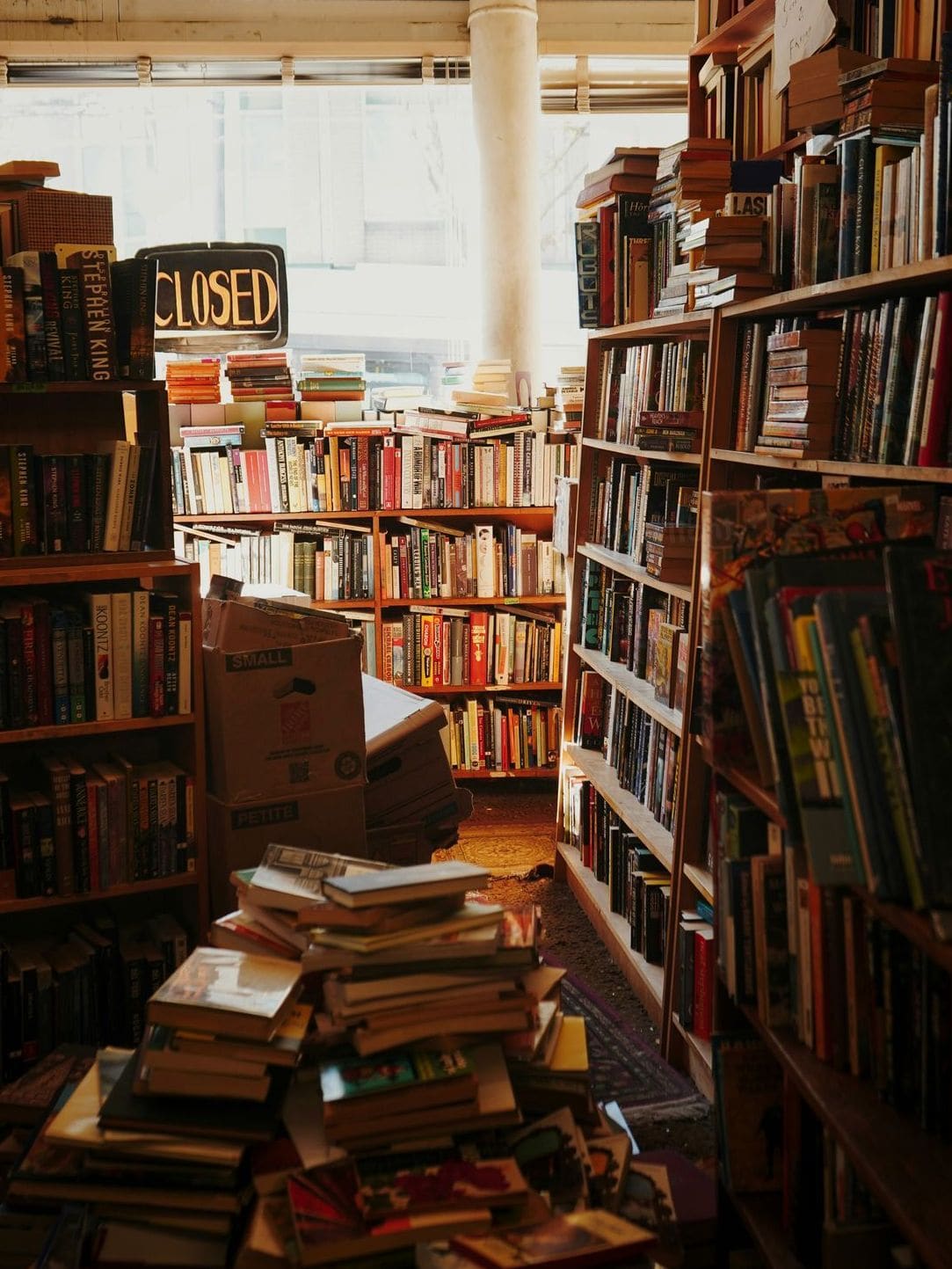 Lesetipps für den Frühling: Diese Bücher begleiten Sie in die neue Saison