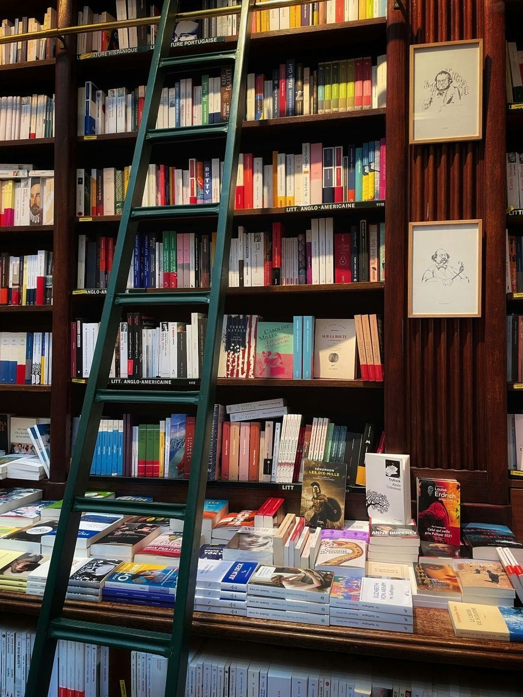 Bücherlicht 2